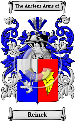 Reinek Family Crest/Coat of Arms