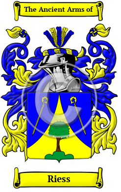 Riess Name Meaning, Family History, Family Crest & Coats of Arms