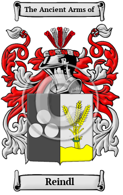 Reindl Name Meaning, Family History, Family Crest & Coats of Arms
