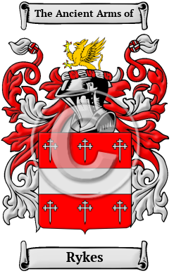 Rykes Family Crest/Coat of Arms