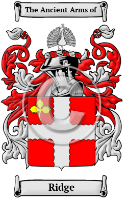 Ridge Family Crest/Coat of Arms