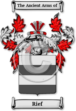 Rief Family Crest Download (jpg) Legacy Series - 150 DPI