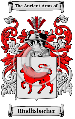 Rindlisbacher Family Crest Download (JPG) Heritage Series - 300 DPI