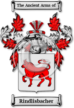 Rindlisbacher Family Crest Download (JPG) Legacy Series - 600 DPI
