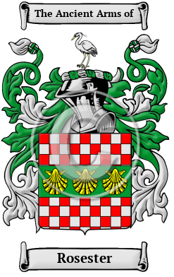 Rosester Family Crest/Coat of Arms