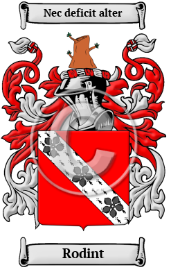 Rodint Family Crest/Coat of Arms