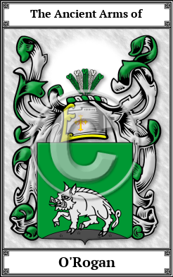 O'Rogan Family Crest Download (JPG)  Book Plated - 150 DPI