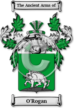 O'Rogan Family Crest Download (jpg) Legacy Series - 150 DPI