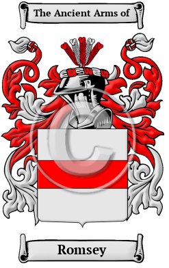 Romsey Family Crest/Coat of Arms