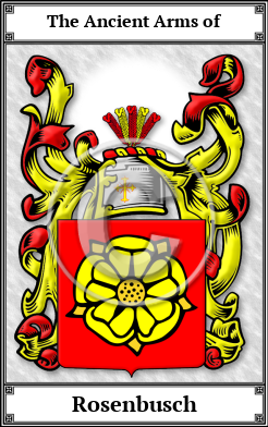 Rosenbusch Family Crest Download (JPG) Book Plated - 600 DPI