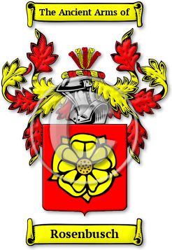 Rosenbusch Family Crest Download (JPG) Legacy Series - 600 DPI