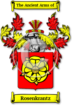 Rosenkrantz Family Crest Download (JPG) Legacy Series - 600 DPI