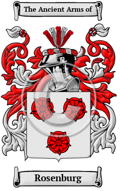 Rosenburg Family Crest/Coat of Arms