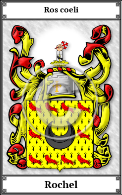 Rochel Family Crest Download (JPG)  Book Plated - 150 DPI