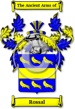 Rossal Family Crest Download (jpg) Legacy Series - 150 DPI
