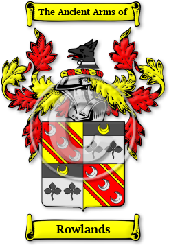 Rowlands Family Crest Download (jpg) Legacy Series - 150 DPI