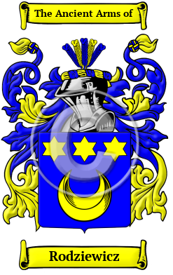 Rodziewicz Family Crest/Coat of Arms