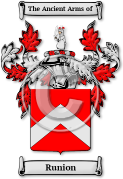 Runion Family Crest Download (JPG) Legacy Series - 600 DPI