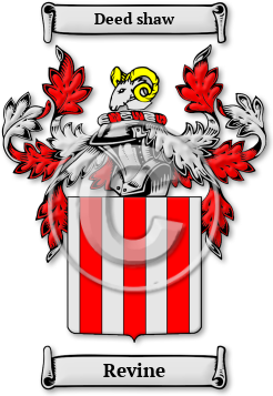 Revine Family Crest Download (JPG) Legacy Series - 600 DPI
