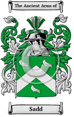 Sadd Family Crest/Coat of Arms