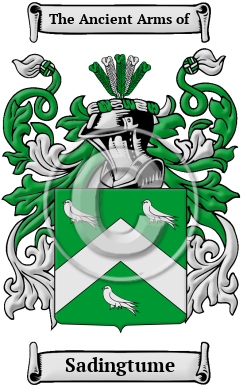 Sadingtume Family Crest/Coat of Arms