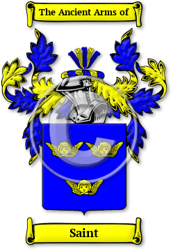 Saint Family Crest Download (JPG) Legacy Series - 600 DPI