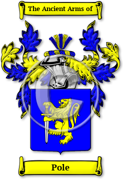 Pole Family Crest Download (jpg) Legacy Series - 150 DPI