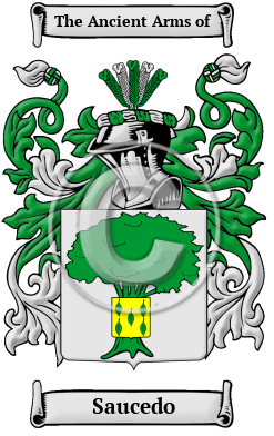 Saucedo Family Crest/Coat of Arms