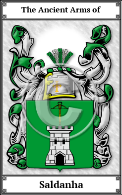 Saldanha Family Crest Download (JPG)  Book Plated - 150 DPI