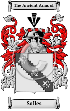 Salles Family Crest/Coat of Arms