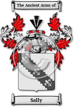 Sally Family Crest Download (jpg) Legacy Series - 150 DPI
