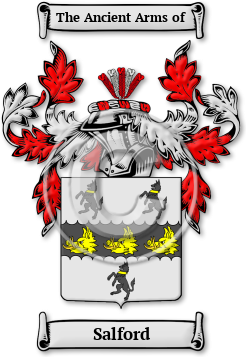 Salford Family Crest Download (jpg) Legacy Series - 150 DPI