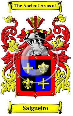 Salgueiro Family Crest/Coat of Arms