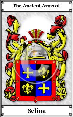 Selina Family Crest Download (JPG)  Book Plated - 150 DPI