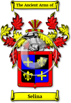 Selina Family Crest Download (jpg) Legacy Series - 150 DPI