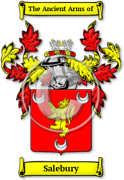 Salebury Family Crest Download (jpg) Legacy Series - 150 DPI