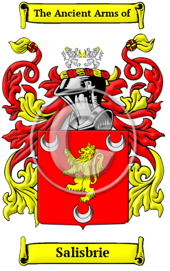 Salisbrie Family Crest/Coat of Arms