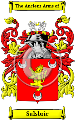 Salsbrie Family Crest/Coat of Arms