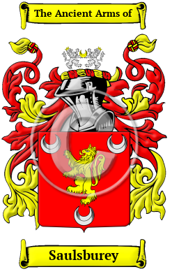 Saulsburey Family Crest/Coat of Arms