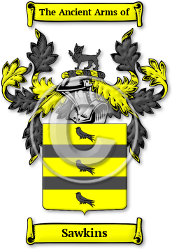 Sawkins Family Crest Download (JPG) Legacy Series - 600 DPI