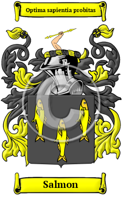 Salmon Family Crest/Coat of Arms