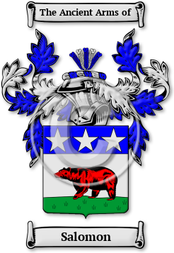 Salomon Family Crest Download (jpg) Legacy Series - 150 DPI
