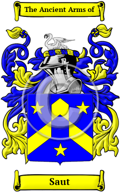 Saut Family Crest/Coat of Arms