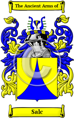 Salc Family Crest/Coat of Arms