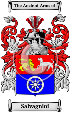Salvagnini Family Crest/Coat of Arms