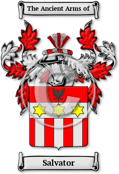 Salvator Family Crest Download (jpg) Legacy Series - 150 DPI