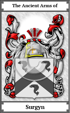 Surgyn Family Crest Download (JPG)  Book Plated - 150 DPI