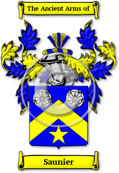 Saunier Family Crest Download (jpg) Legacy Series - 150 DPI