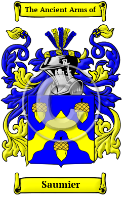 Saumier Family Crest/Coat of Arms