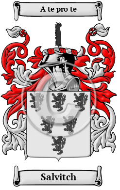 Salvitch Family Crest/Coat of Arms